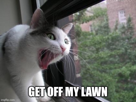 When your cat becomes old |  GET OFF MY LAWN | image tagged in screaming cat,cat | made w/ Imgflip meme maker
