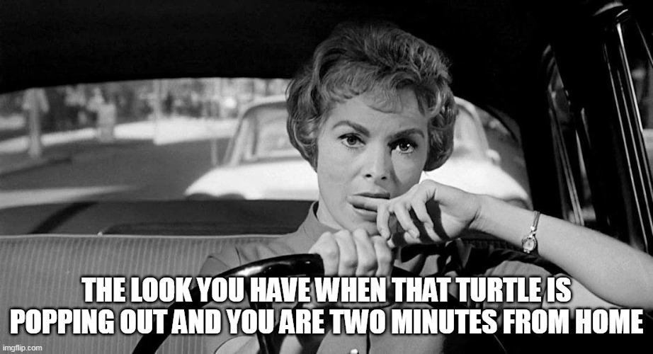 The look you have when that turtle is popping out and you are two minutes from home | THE LOOK YOU HAVE WHEN THAT TURTLE IS POPPING OUT AND YOU ARE TWO MINUTES FROM HOME | image tagged in lady driving worried,funny,funny memes,poop,bathroom,turtle | made w/ Imgflip meme maker