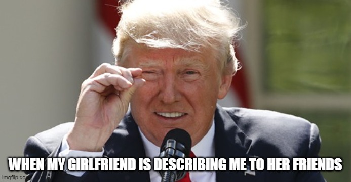When my Girlfriend is describing me to her friends |  WHEN MY GIRLFRIEND IS DESCRIBING ME TO HER FRIENDS | image tagged in president trump,funny,dick jokes,dick,girlfriend,mean | made w/ Imgflip meme maker