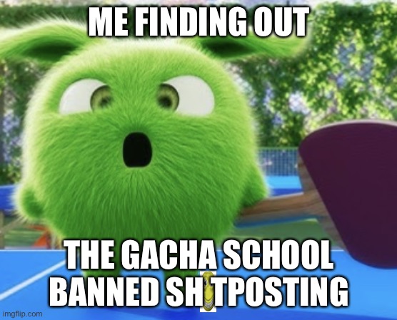 I really hate those girls because they don’t post funny memes | ME FINDING OUT; THE GACHA SCHOOL BANNED SH TPOSTING | image tagged in angry hopper,sunny bunnies | made w/ Imgflip meme maker