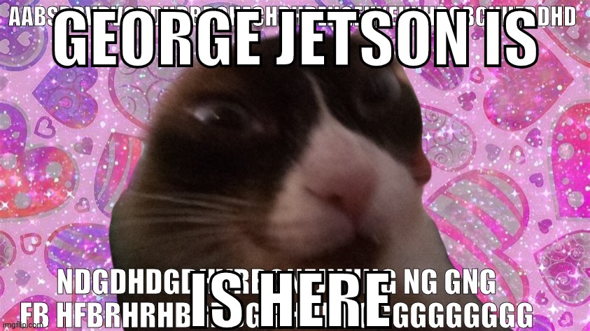 cocoa my beloved | GEORGE JETSON IS; IS HERE | image tagged in cocoa my beloved | made w/ Imgflip meme maker