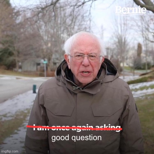 Bernie I Am Once Again Asking For Your Support Meme | good question | image tagged in memes,bernie i am once again asking for your support | made w/ Imgflip meme maker