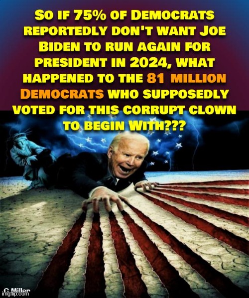 None of this bizarre crap adds up | image tagged in joe biden,2024,election fraud,politics,political | made w/ Imgflip meme maker