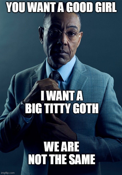 You Want a good girl I want a big titty goth We are not the same | YOU WANT A GOOD GIRL; I WANT A BIG TITTY GOTH; WE ARE NOT THE SAME | image tagged in gus fring we are not the same,funny,funny memes,goth,big titty goth,girlfriend | made w/ Imgflip meme maker