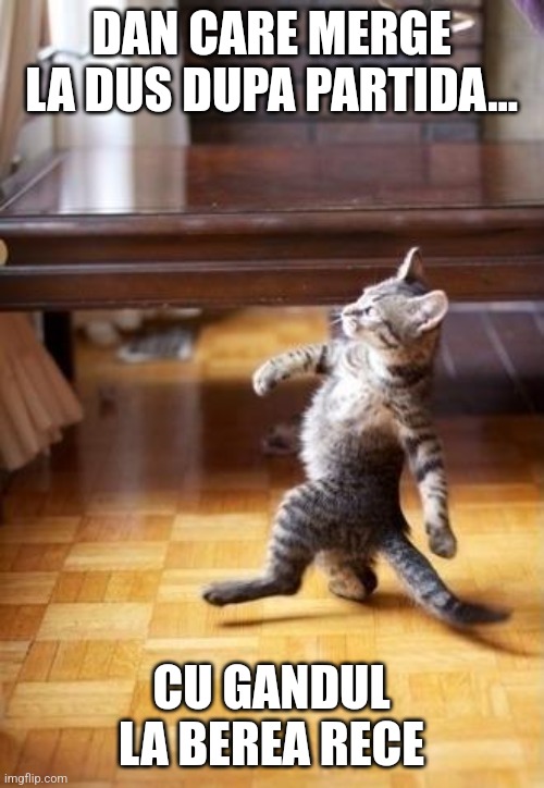 Cool Cat Stroll |  DAN CARE MERGE LA DUS DUPA PARTIDA... CU GANDUL LA BEREA RECE | image tagged in memes,cool cat stroll | made w/ Imgflip meme maker