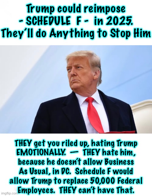 Politicians hate Trump, because he derails Their Money Train | Trump could reimpose
- SCHEDULE  F -  in 2025.
They’ll do Anything to Stop Him; THEY get you riled up, hating Trump
EMOTIONALLY.  —  THEY hate him,
because he doesn’t allow Business
As Usual, in DC.  Schedule F would
allow Trump to replace 50,000 Federal
Employees.  THEY can’t have That. | image tagged in memes,for you its emotions,for them its financial,they lose money when trump is prez,trump saves us money,u hate him | made w/ Imgflip meme maker