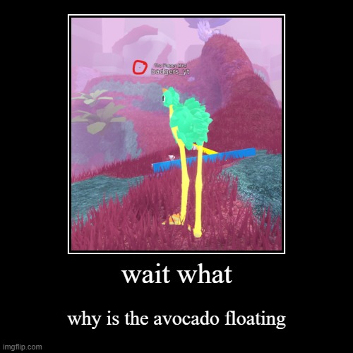 wat | wait what | why is the avocado floating | image tagged in demotivationals,wait what,bird,roblox,birds,glitch | made w/ Imgflip demotivational maker