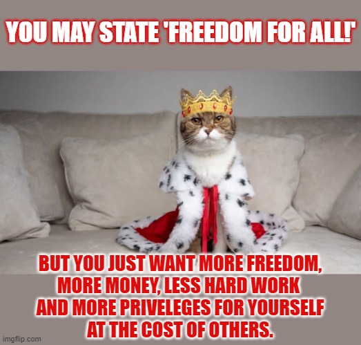 This #lolcat wonders if people really want 'freedom for all!' or just more for themselves | YOU MAY STATE 'FREEDOM FOR ALL!'; BUT YOU JUST WANT MORE FREEDOM,
MORE MONEY, LESS HARD WORK 
AND MORE PRIVELEGES FOR YOURSELF
AT THE COST OF OTHERS. | image tagged in freedom,selfishness,lolcat,think about it | made w/ Imgflip meme maker
