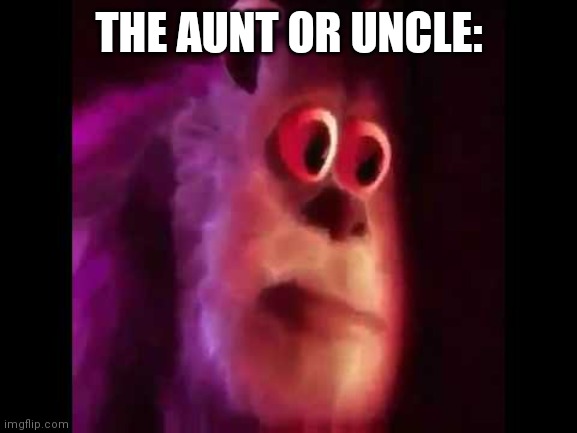 Sully Groan | THE AUNT OR UNCLE: | image tagged in sully groan | made w/ Imgflip meme maker