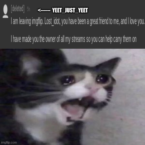 He was my best friend.... :((( | <------  YEET_JUST_YEET | image tagged in rip,f in the chat,sad,yeet_just_yeet | made w/ Imgflip meme maker