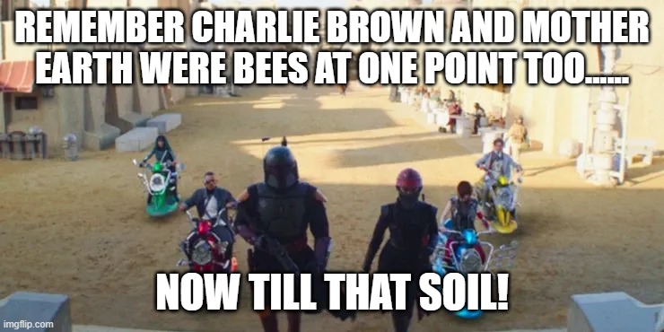 REMEMBER CHARLIE BROWN AND MOTHER EARTH WERE BEES AT ONE POINT TOO...... NOW TILL THAT SOIL! | made w/ Imgflip meme maker