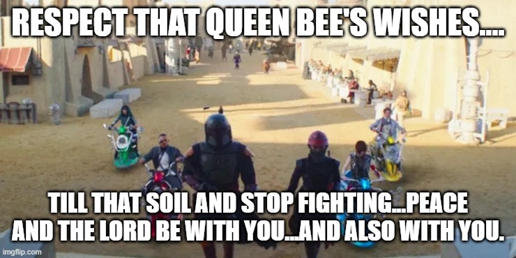 RESPECT THAT QUEEN BEE'S WISHES.... TILL THAT SOIL AND STOP FIGHTING...PEACE AND THE LORD BE WITH YOU...AND ALSO WITH YOU. | made w/ Imgflip meme maker