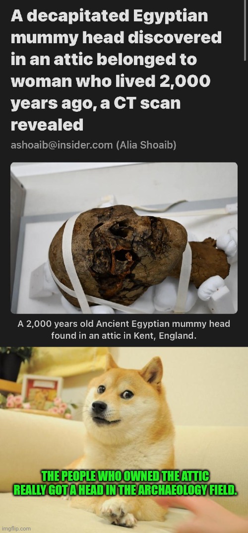  THE PEOPLE WHO OWNED THE ATTIC REALLY GOT A HEAD IN THE ARCHAEOLOGY FIELD. | image tagged in memes,doge 2 | made w/ Imgflip meme maker