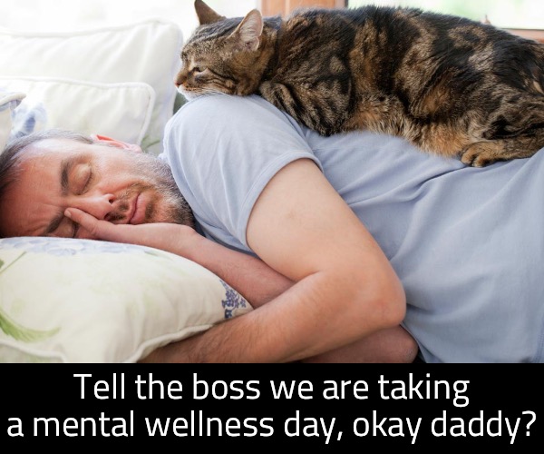 Tell the boss we are taking a mental wellness day, okay daddy? | made w/ Imgflip meme maker