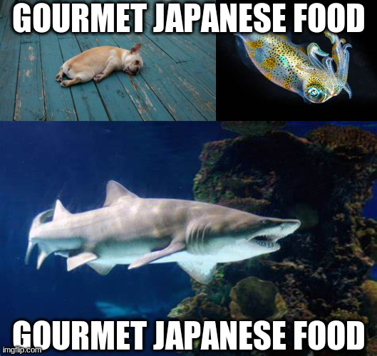 GOURMET JAPANESE FOOD; GOURMET JAPANESE FOOD | image tagged in tired dog | made w/ Imgflip meme maker