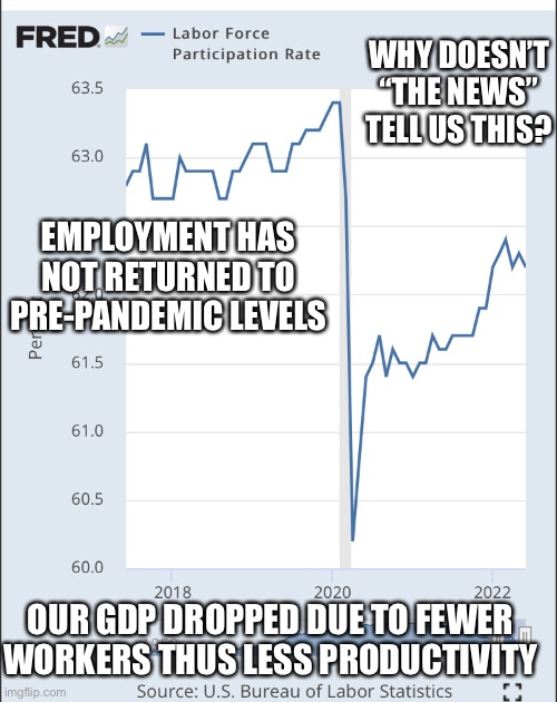 Dispute what Biden says, the labor market is down | WHY DOESN’T “THE NEWS” TELL US THIS? EMPLOYMENT HAS NOT RETURNED TO PRE-PANDEMIC LEVELS; OUR GDP DROPPED DUE TO FEWER WORKERS THUS LESS PRODUCTIVITY | image tagged in sleepy joe,joe biden,recession | made w/ Imgflip meme maker