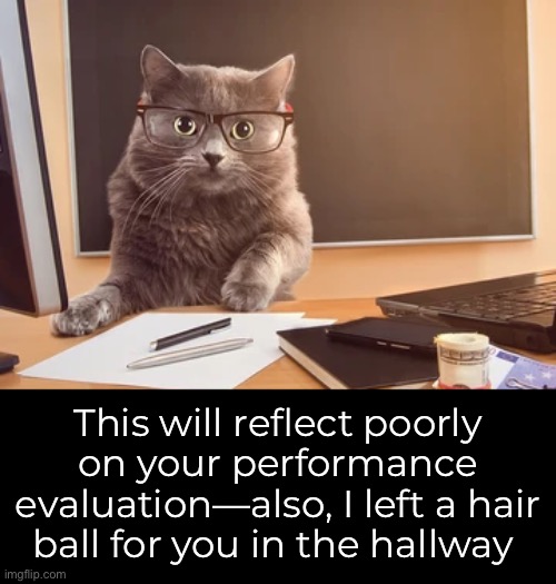 This will reflect poorly on your performance evaluation—also, I left a hair ball for you in the hallway | made w/ Imgflip meme maker