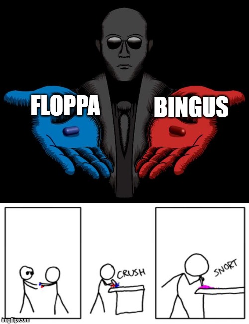 they both cute tbh | FLOPPA; BINGUS | image tagged in snorting the blue pill and red pill,bingus,floppa | made w/ Imgflip meme maker