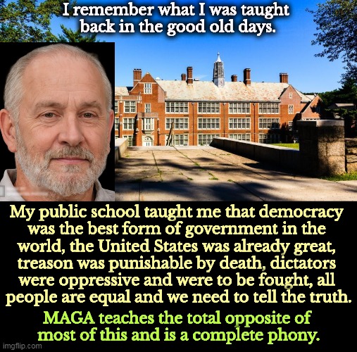 I remember what I was taught 
back in the good old days. My public school taught me that democracy 
was the best form of government in the 
world, the United States was already great, 
treason was punishable by death, dictators 
were oppressive and were to be fought, all 
people are equal and we need to tell the truth. MAGA teaches the total opposite of 
most of this and is a complete phony. | image tagged in democracy,good,maga,awful,fake | made w/ Imgflip meme maker