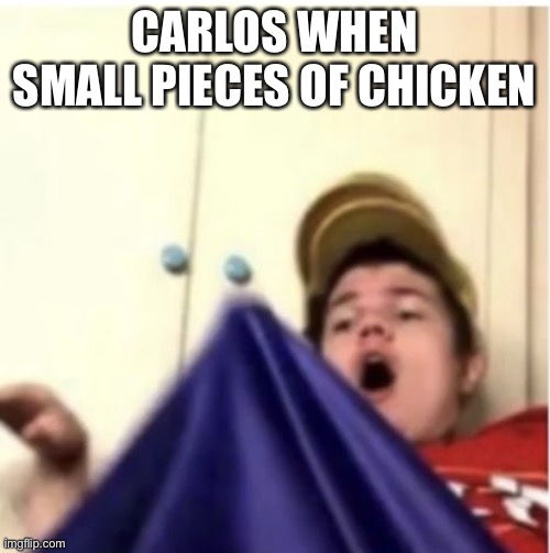 Alfaoxtrot mega boner | CARLOS WHEN SMALL PIECES OF CHICKEN | image tagged in alfaoxtrot mega boner | made w/ Imgflip meme maker