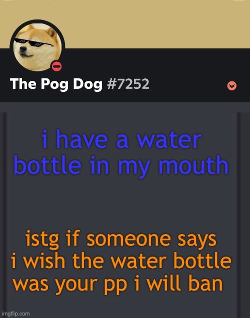 epic doggos epic discord temp | i have a water bottle in my mouth; istg if someone says i wish the water bottle was your pp i will ban | image tagged in epic doggos epic discord temp | made w/ Imgflip meme maker