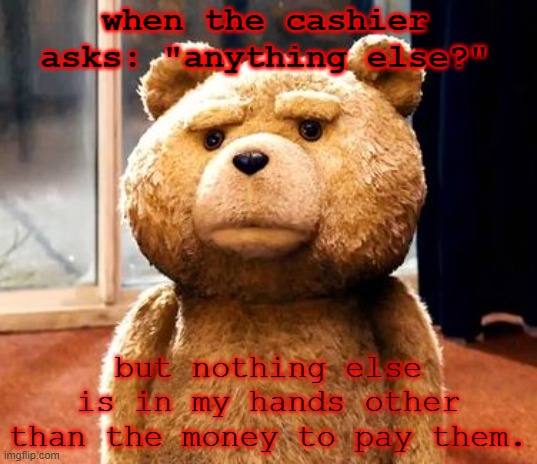 Are you seriously asking that question? - Me | when the cashier asks: "anything else?"; but nothing else is in my hands other than the money to pay them. | image tagged in memes,ted | made w/ Imgflip meme maker