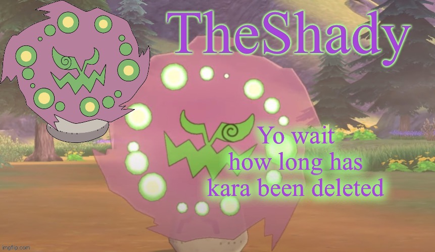 TheShady spiritomb temp | Yo wait how long has kara been deleted | image tagged in theshady spiritomb temp | made w/ Imgflip meme maker