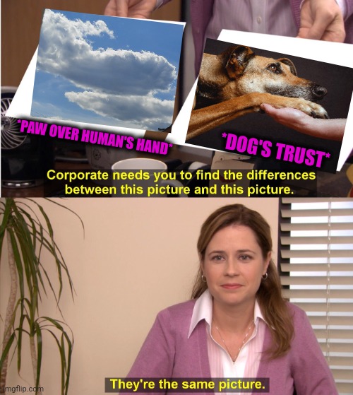 -They same, really. | *PAW OVER HUMAN'S HAND*; *DOG'S TRUST* | image tagged in memes,they're the same picture,raydog,paw patrol,joker rainbow hands,totally looks like | made w/ Imgflip meme maker