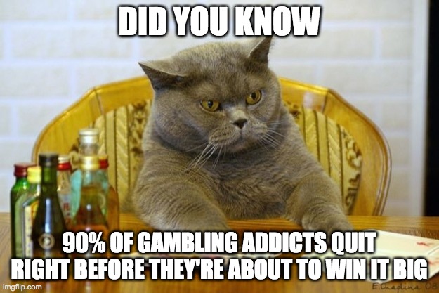 Gambling mindset | DID YOU KNOW; 90% OF GAMBLING ADDICTS QUIT RIGHT BEFORE THEY'RE ABOUT TO WIN IT BIG | image tagged in gambling sad cat | made w/ Imgflip meme maker