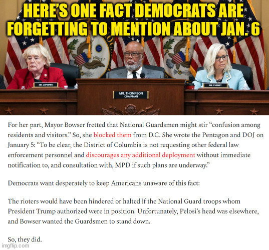 Another inconvenient truth the J6 committee want you to ignore | HERE’S ONE FACT DEMOCRATS ARE FORGETTING TO MENTION ABOUT JAN. 6 | image tagged in democrat,liars | made w/ Imgflip meme maker