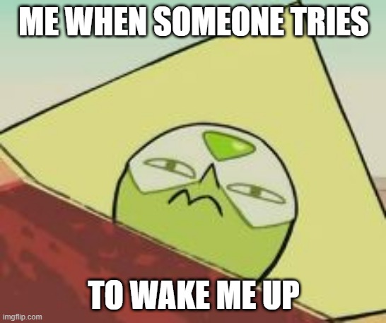 scowling peridot | ME WHEN SOMEONE TRIES; TO WAKE ME UP | image tagged in scowling peridot | made w/ Imgflip meme maker