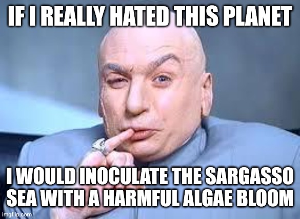 dr evil pinky | IF I REALLY HATED THIS PLANET; I WOULD INOCULATE THE SARGASSO SEA WITH A HARMFUL ALGAE BLOOM | image tagged in dr evil pinky | made w/ Imgflip meme maker