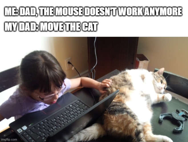 The Mouse inside the Cat | ME: DAD, THE MOUSE DOESN'T WORK ANYMORE; MY DAD: MOVE THE CAT | image tagged in cat,mouse,computer nerd | made w/ Imgflip meme maker