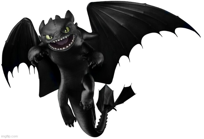 Night Fury | image tagged in night fury 4 httyd | made w/ Imgflip meme maker