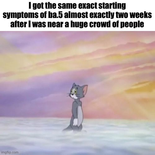 Help | I got the same exact starting symptoms of ba.5 almost exactly two weeks after I was near a huge crowd of people | image tagged in tom in heaven | made w/ Imgflip meme maker