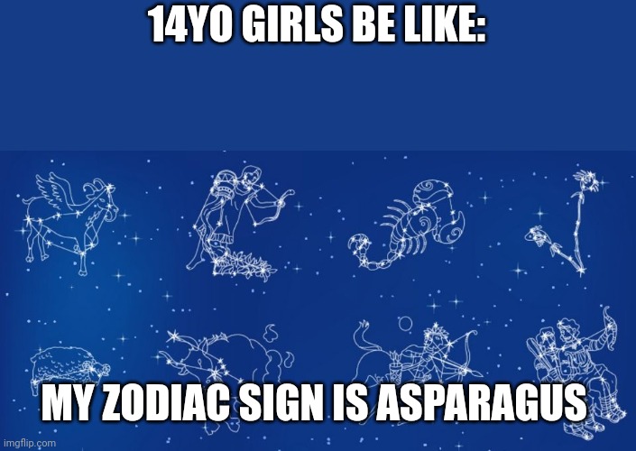 zodiac rubbish | 14YO GIRLS BE LIKE:; MY ZODIAC SIGN IS ASPARAGUS | image tagged in zodiac rubbish | made w/ Imgflip meme maker