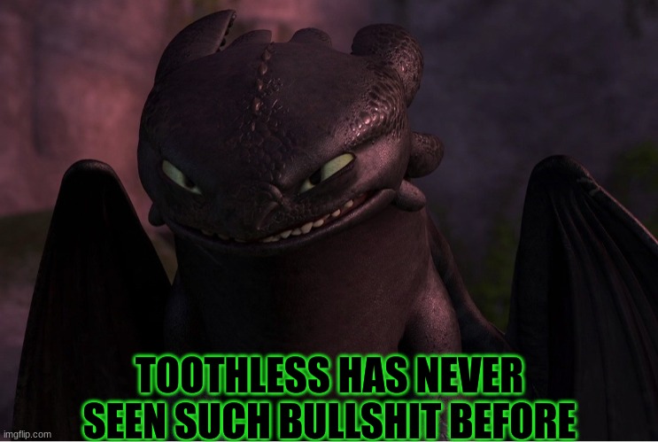caption this | image tagged in toothless has never seen such bullshit before httyd | made w/ Imgflip meme maker