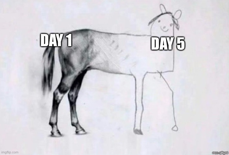 School be like | DAY 1; DAY 5 | image tagged in horse drawing | made w/ Imgflip meme maker