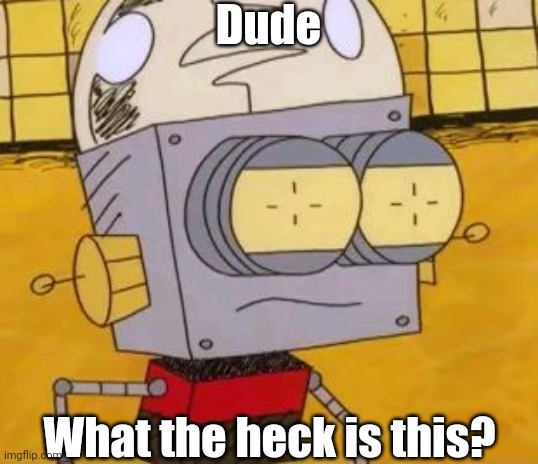 What the heck? | Dude What the heck is this? | image tagged in what the heck | made w/ Imgflip meme maker