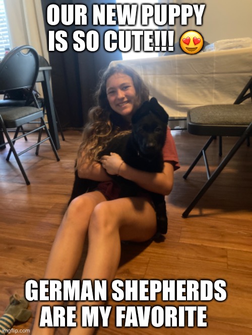 His name is Koa and he is ADORABLE! | OUR NEW PUPPY IS SO CUTE!!! 😍; GERMAN SHEPHERDS ARE MY FAVORITE | made w/ Imgflip meme maker