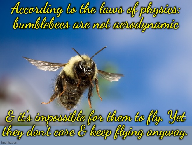 Impressive. |  According to the laws of physics:
bumblebees are not aerodynamic; & it's impossible for them to fly. Yet
they don't care & keep flying anyway. | image tagged in bumblebee in flight,think outside the box,insects,top 10 questions science still can't answer,animals,mysteries | made w/ Imgflip meme maker