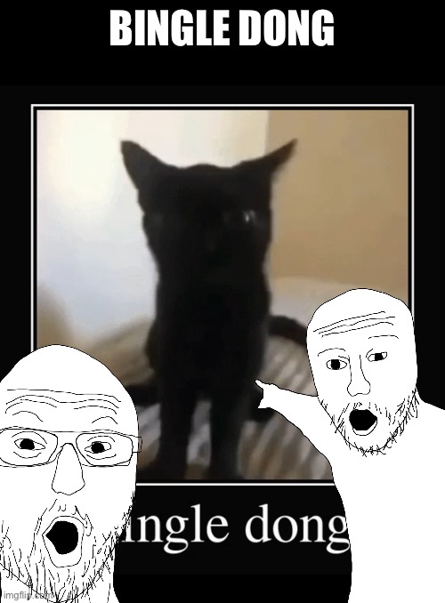 BINGLE DONG | made w/ Imgflip meme maker