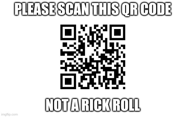 please do it now | PLEASE SCAN THIS QR CODE; NOT A RICK ROLL | image tagged in memes,rick roll,never gonna give you up,funny memes,oh wow are you actually reading these tags | made w/ Imgflip meme maker