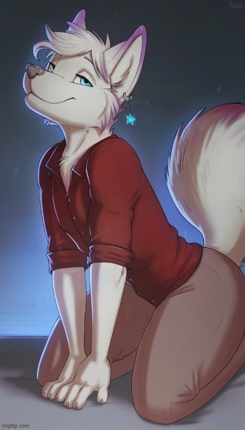 He looks like a good boy. ^w^ (By Raaz) | image tagged in furry,femboy,cute,adorable | made w/ Imgflip meme maker