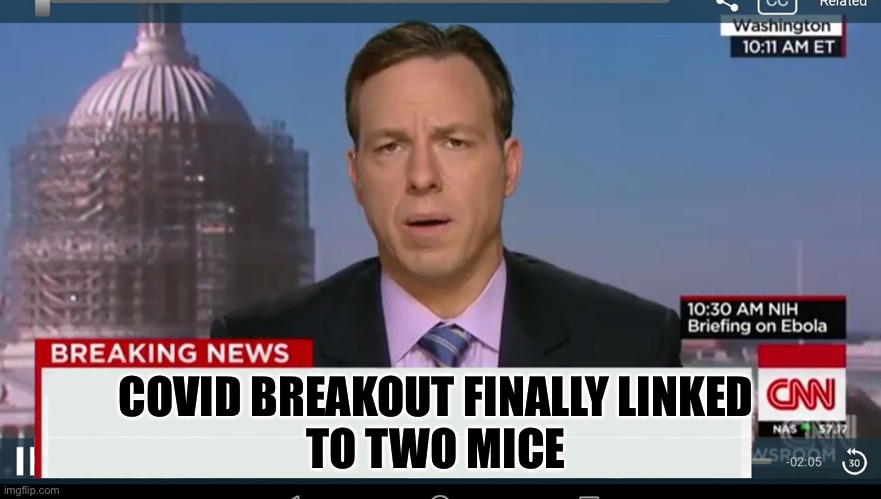 cnn breaking news template | COVID BREAKOUT FINALLY LINKED 
TO TWO MICE | image tagged in cnn breaking news template | made w/ Imgflip meme maker