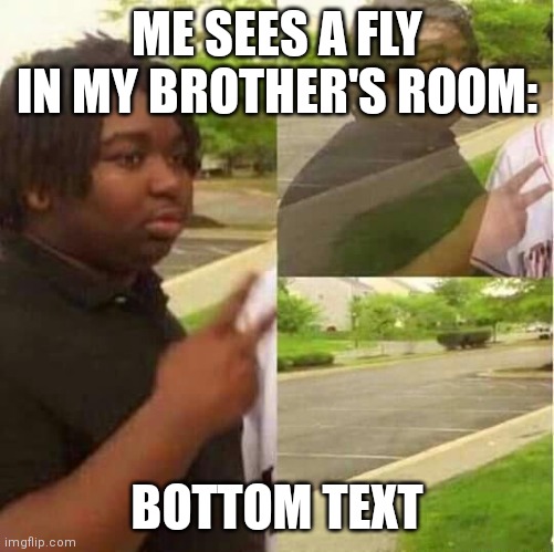 Fly bad |  ME SEES A FLY IN MY BROTHER'S ROOM:; BOTTOM TEXT | image tagged in disappearing | made w/ Imgflip meme maker