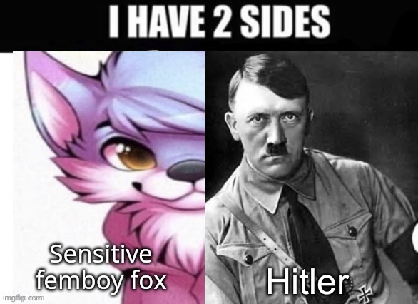 Hitler | made w/ Imgflip meme maker