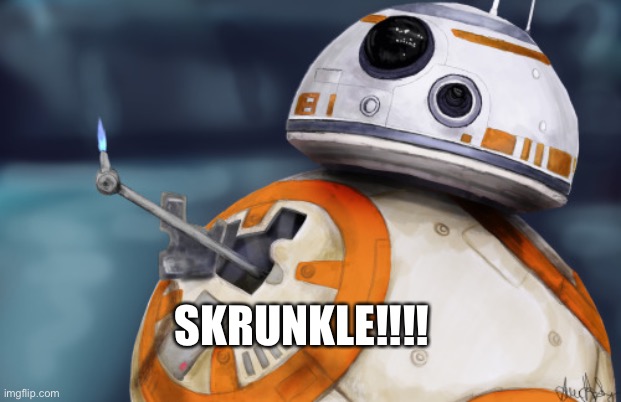 BB8 ThumbsUp | SKRUNKLE!!!! | image tagged in bb8 thumbsup | made w/ Imgflip meme maker