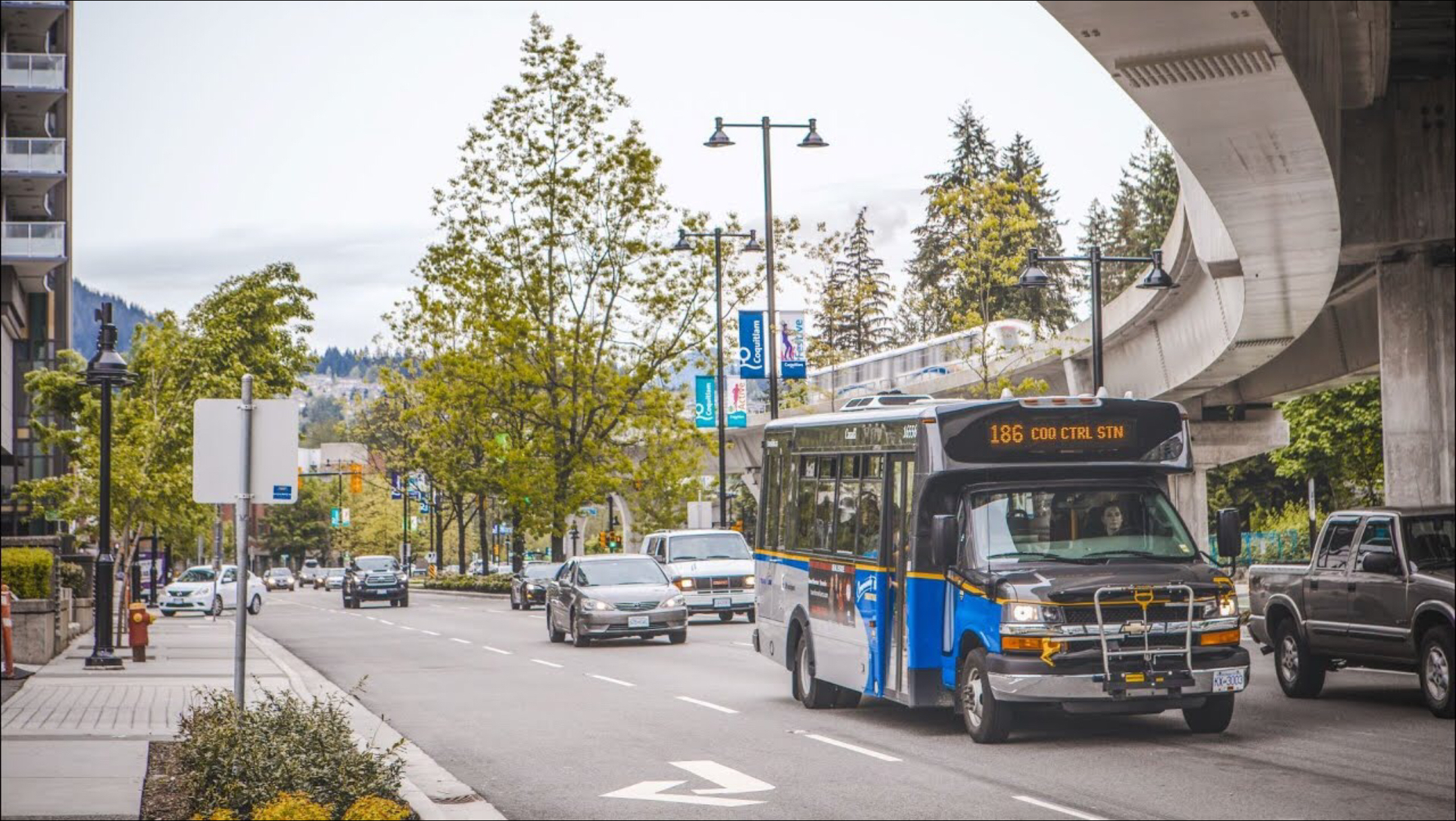 Translink Blank Meme Template