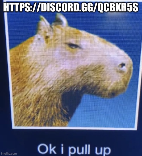 oMg I mAdE a DiScOrD cHaNnEl | HTTPS://DISCORD.GG/QCBKR5S | image tagged in ok i pull up | made w/ Imgflip meme maker